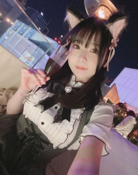 yy6080新_BT种子搜索