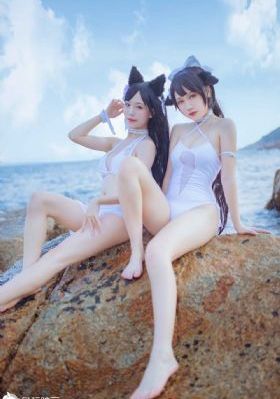 黑老大的三百六十五天免费_1080P免费全集观看