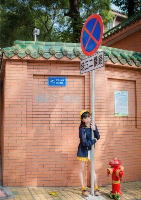 电视剧亮剑40集免费看_BD在线观看电视