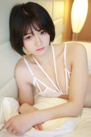 动物狂想曲第一季免费观看完整版_剧情片神马影院手机在线