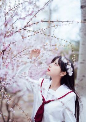 冰冷热带鱼在线观看_DVD在线观看电视