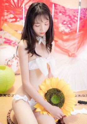 芭比之森林公主电影免费观看中文_DVD高清迅雷在线观看